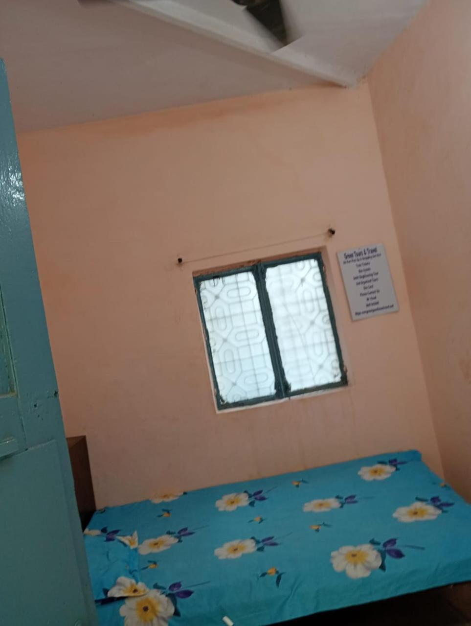 Ever Green Guest House Travel & Pg Yeni Delhi Dış mekan fotoğraf