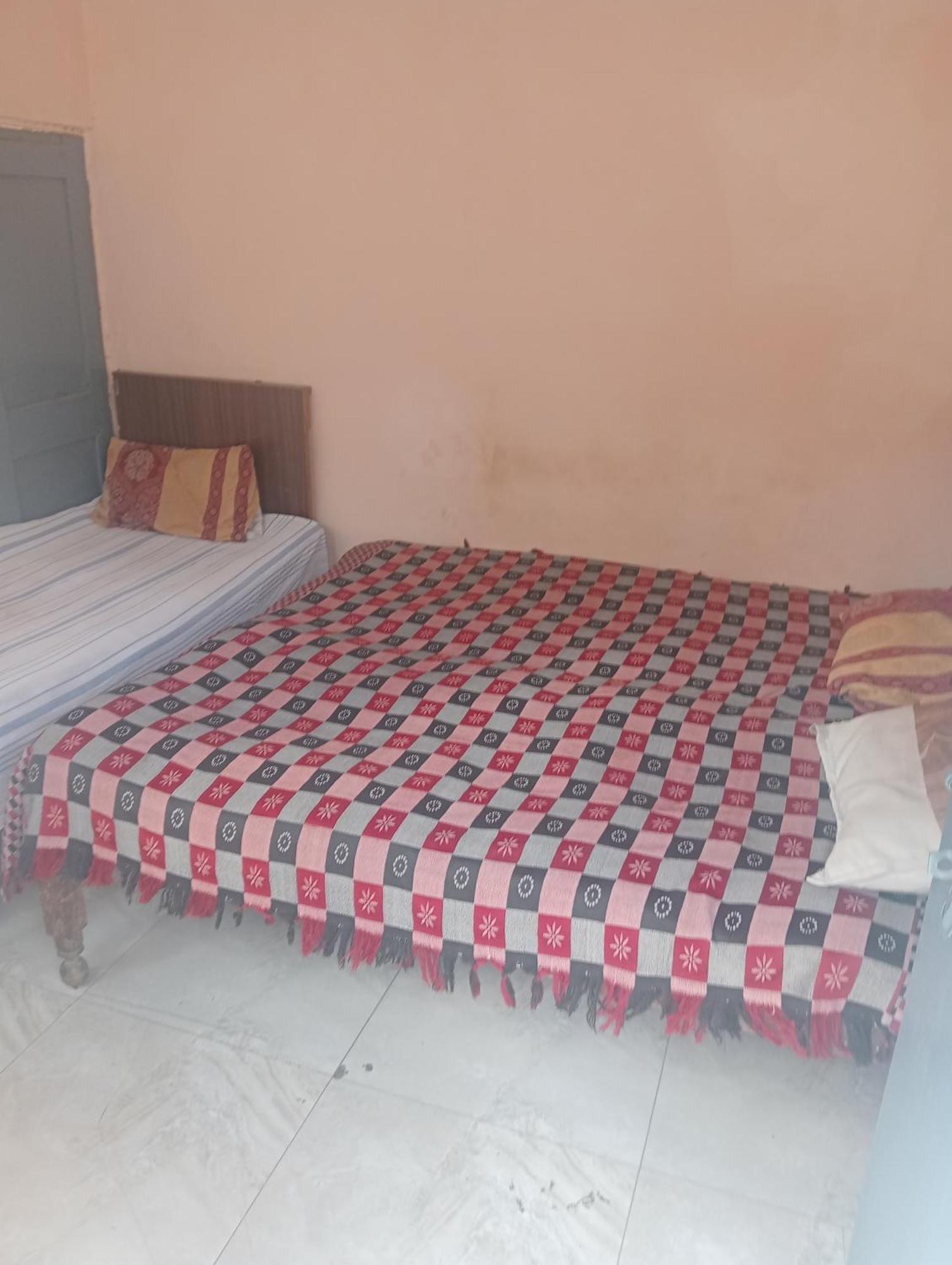 Ever Green Guest House Travel & Pg Yeni Delhi Dış mekan fotoğraf