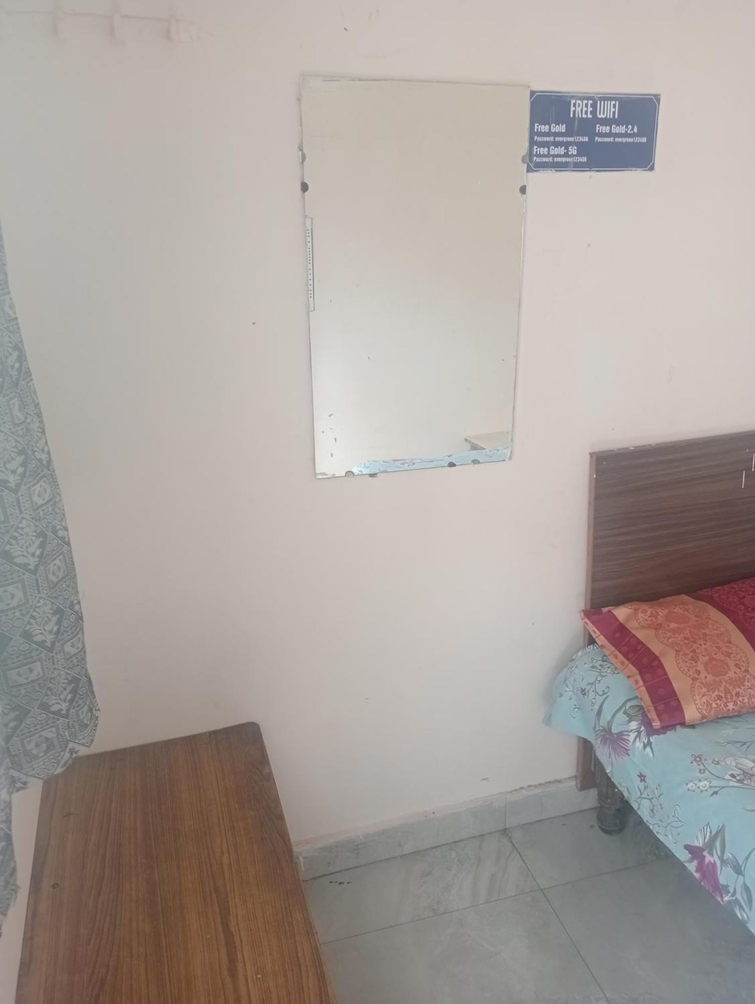 Ever Green Guest House Travel & Pg Yeni Delhi Dış mekan fotoğraf