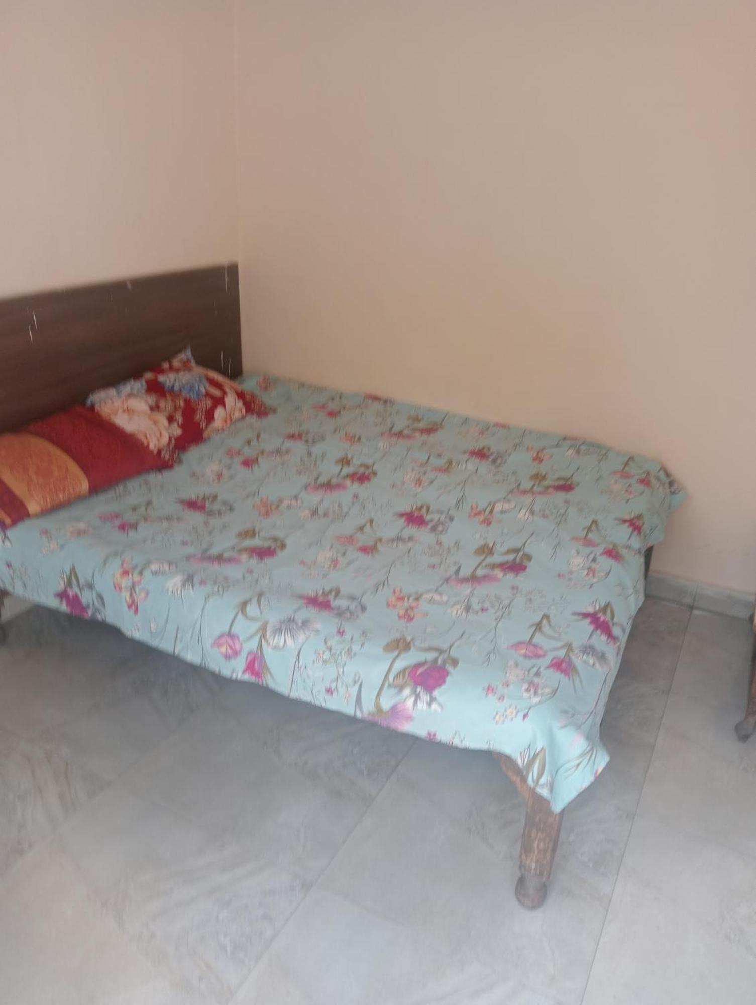Ever Green Guest House Travel & Pg Yeni Delhi Dış mekan fotoğraf