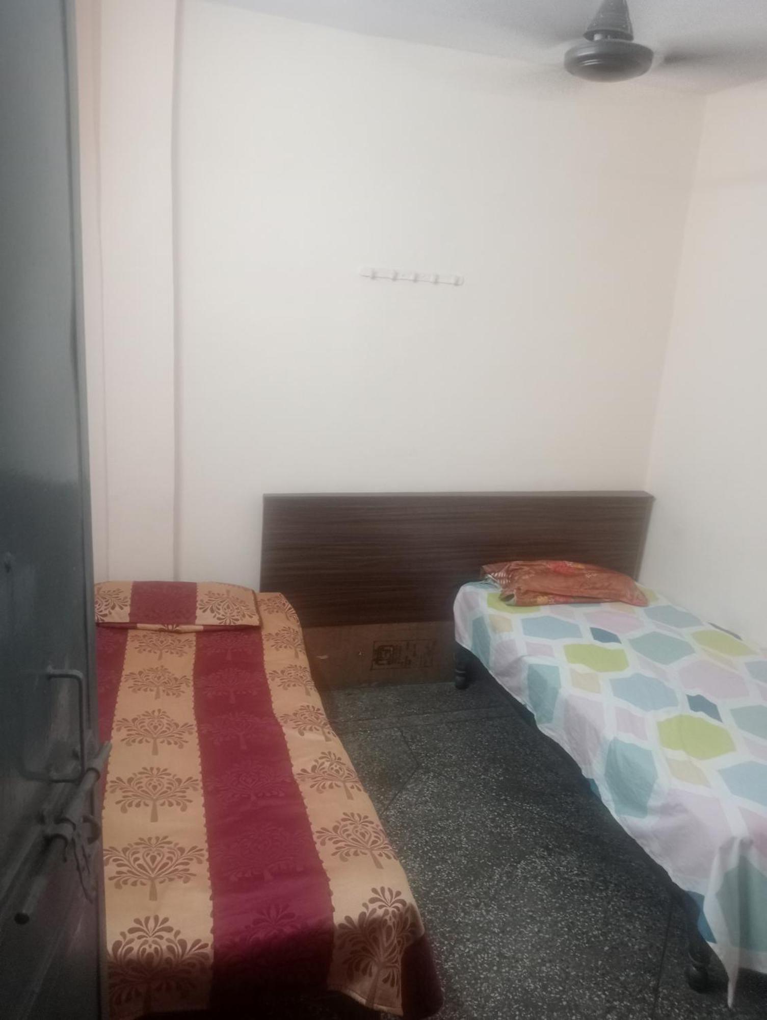 Ever Green Guest House Travel & Pg Yeni Delhi Dış mekan fotoğraf